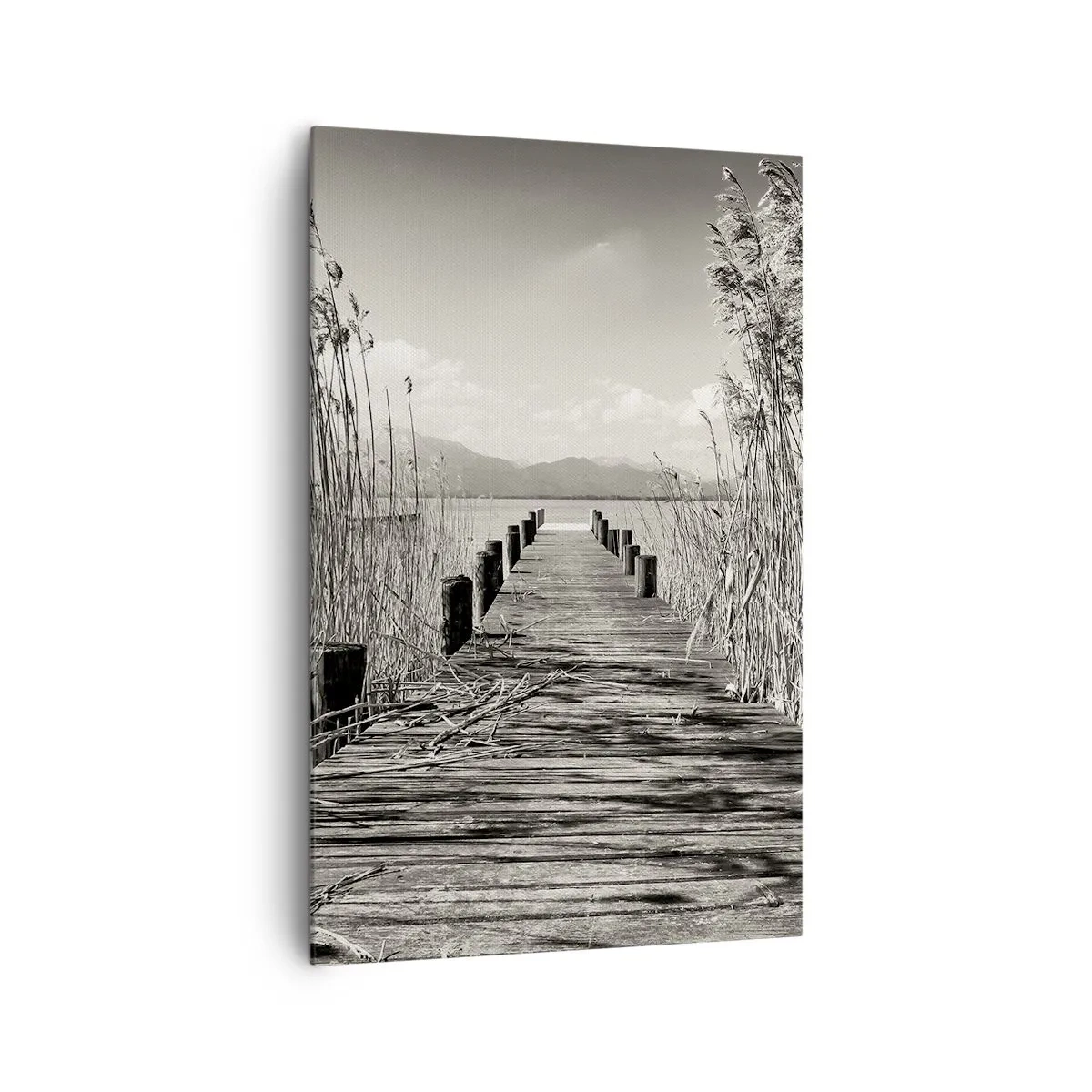 Canvas picture - In the Grass - 80x120 cm
