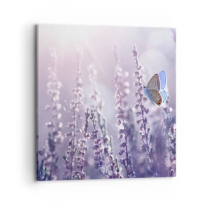 Canvas picture - Kiss of a Butterfly - 70x70 cm