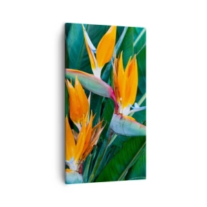 Canvas picture - Is It a Flower or a Bird? - 45x80 cm