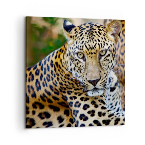 Canvas picture - Wild and Calm - 50x50 cm