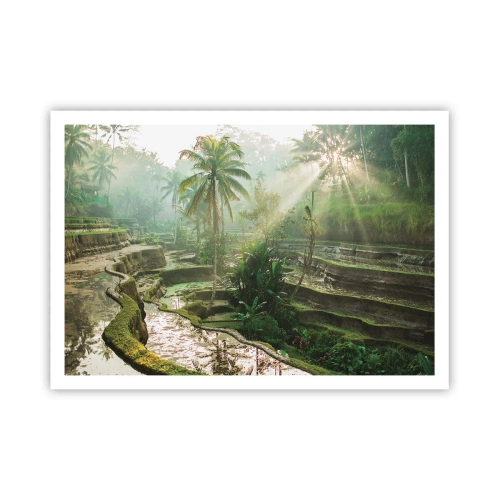 Poster - Maturing in the Sun - 100x70 cm