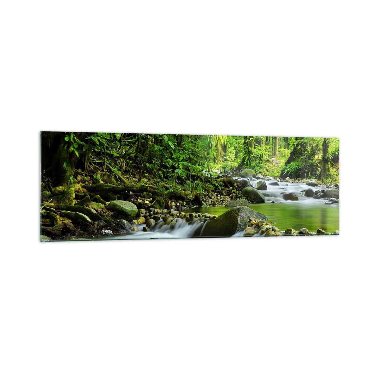Glass picture - Swimming in the Sea of Green - 160x50 cm