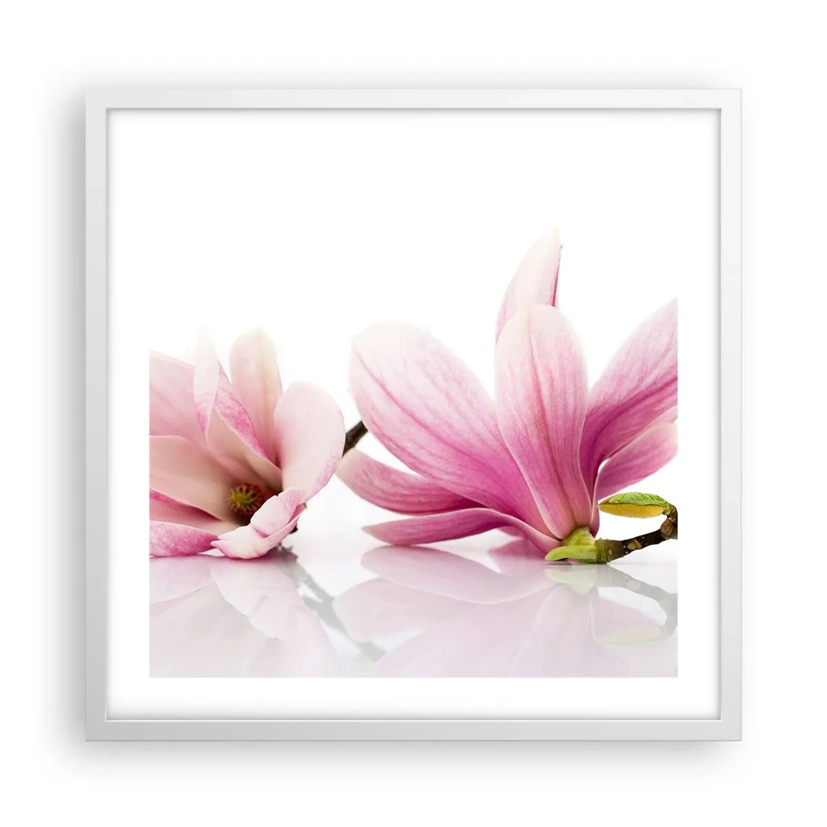 Poster in white frmae - Delicate Like a Spring Breeze - 50x50 cm