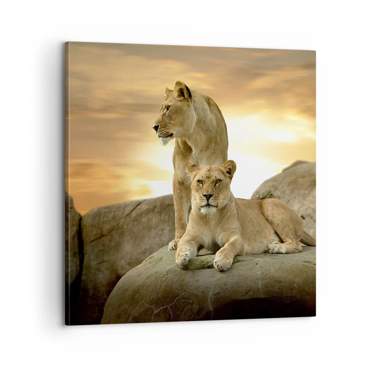 Canvas picture - Royal Majesty - 60x60 cm