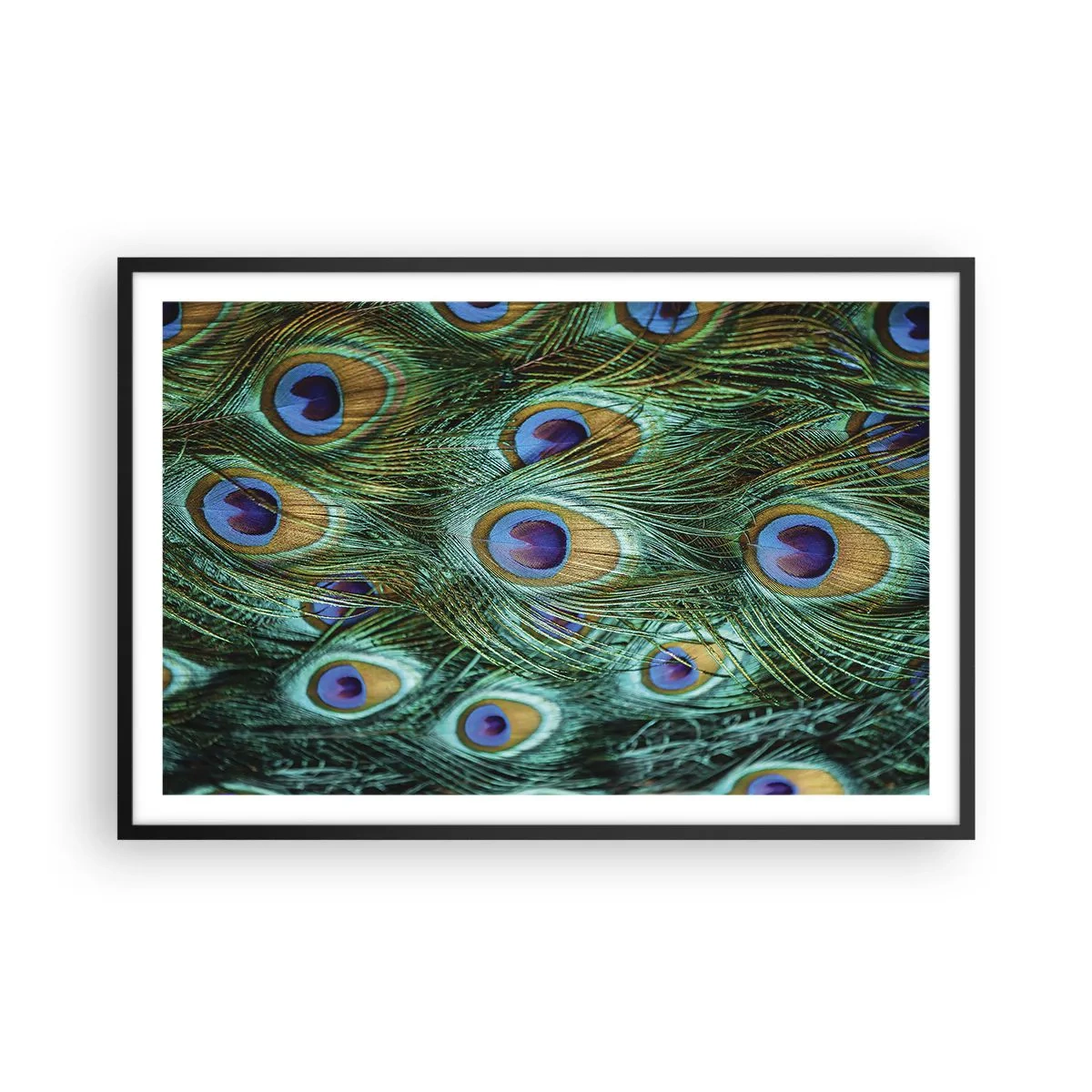 Poster in black frame - Peacock Eyes - 91x61 cm
