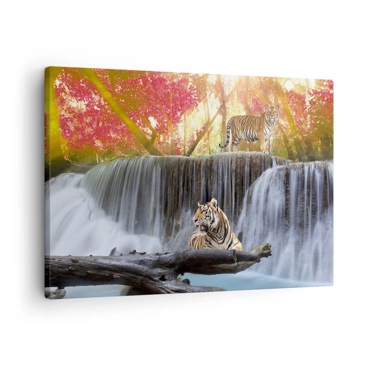 Canvas picture - Tigers at a waterfall in the autumn forest - 70x50cm - Surrealistic Landscape - Modern wall decoration for the living room and bedroom ARTTOR