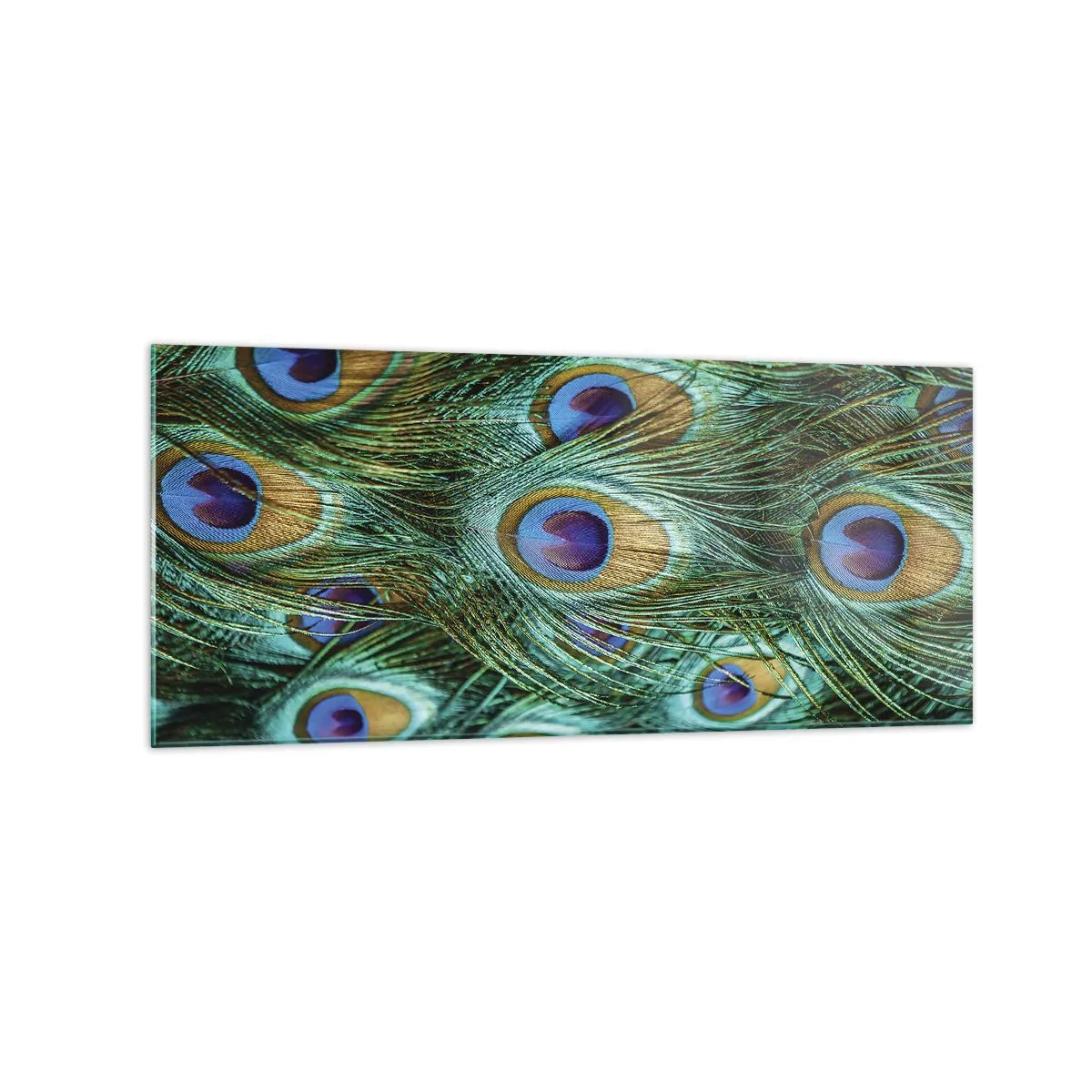 Glass picture - Peacock Eyes - 120x50 cm