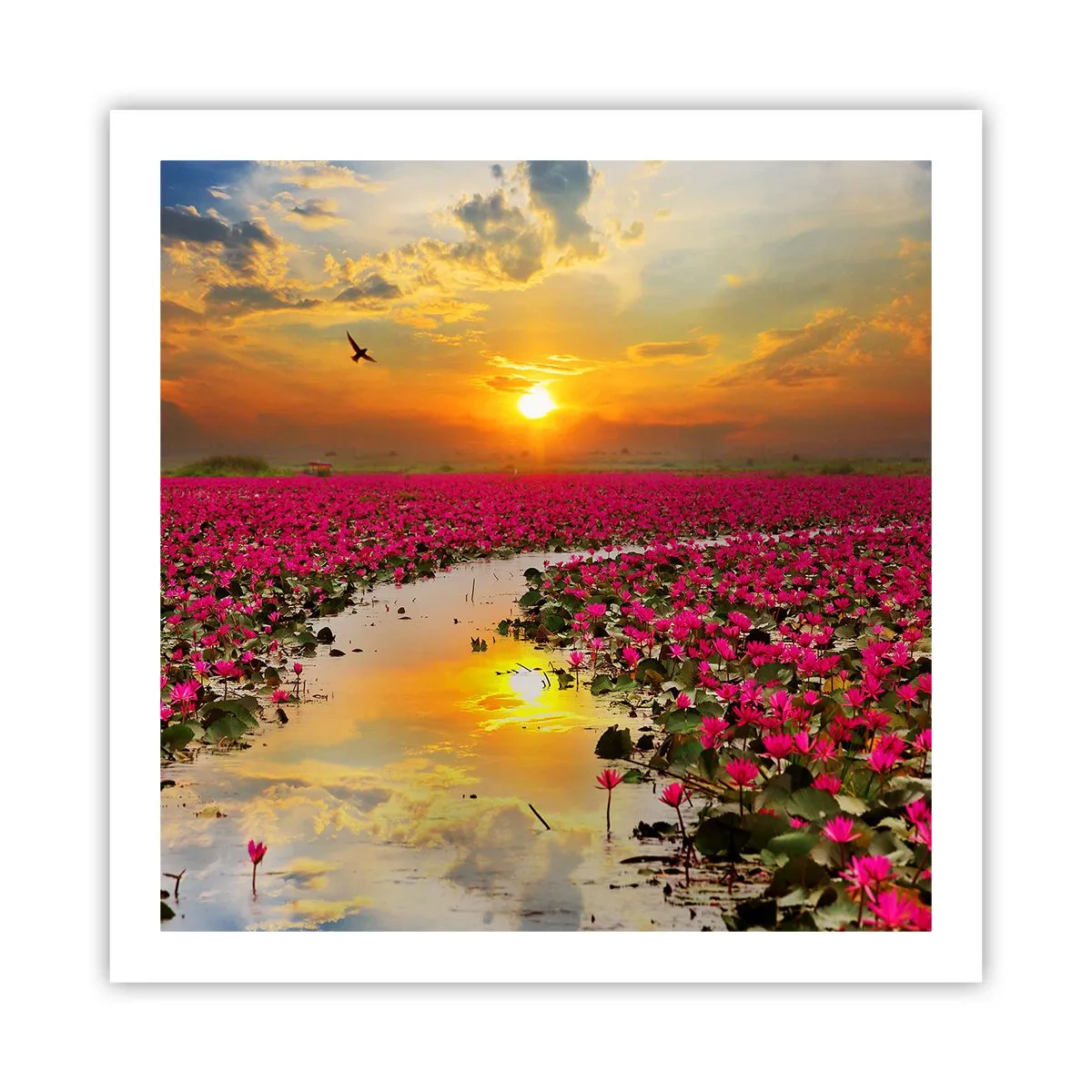 Poster - Secret Life of a Lake - 60x60 cm