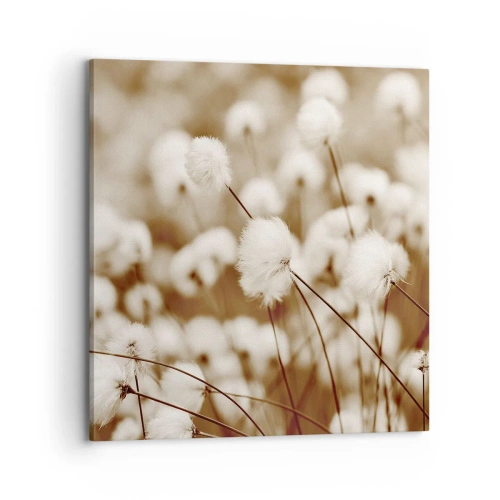 Canvas picture - Fluffy field - 70x70 cm