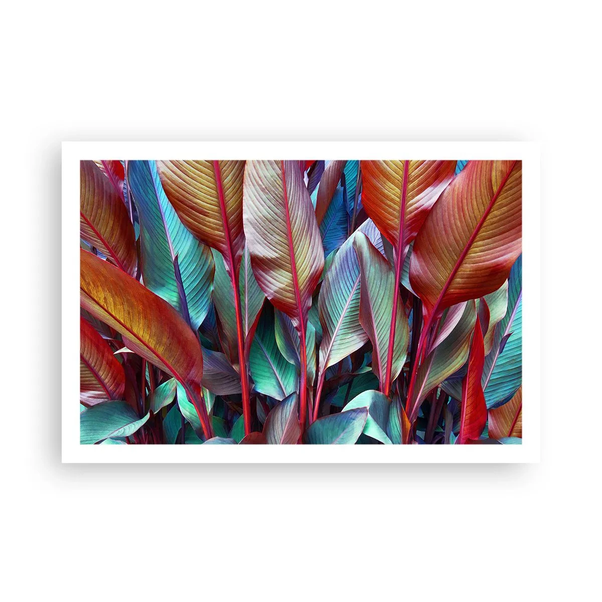 Poster - Colourful Thicket - 91x61 cm