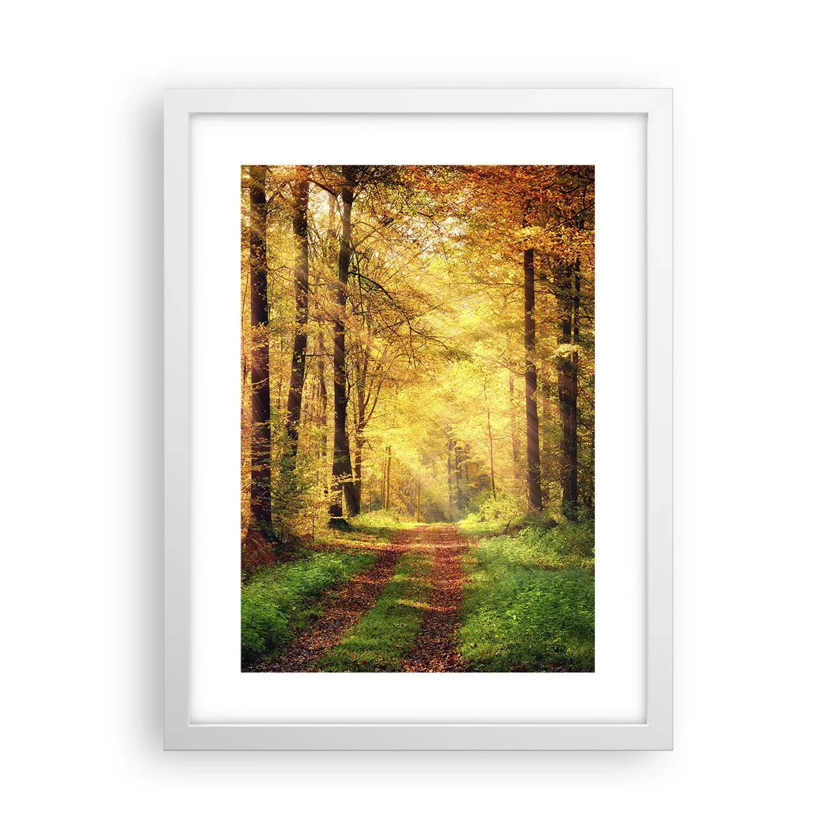 Poster in white frmae - Forest Golden silence - 30x40 cm