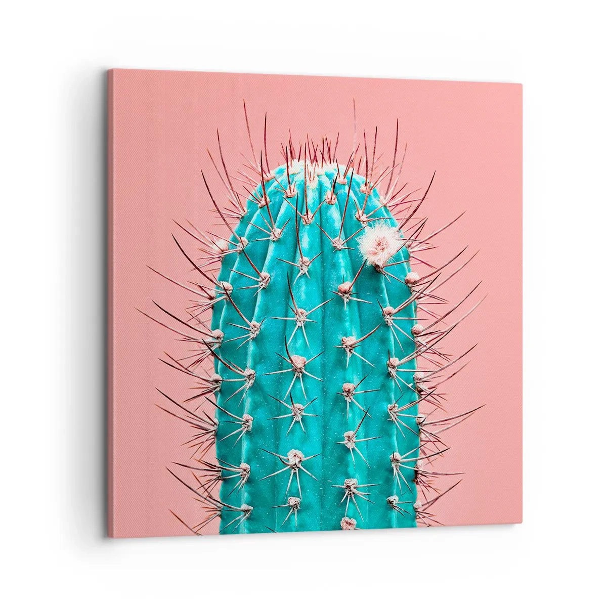 Canvas picture - Just Look - 60x60 cm