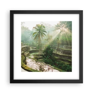Poster in black frame - Maturing in the Sun - 30x30 cm