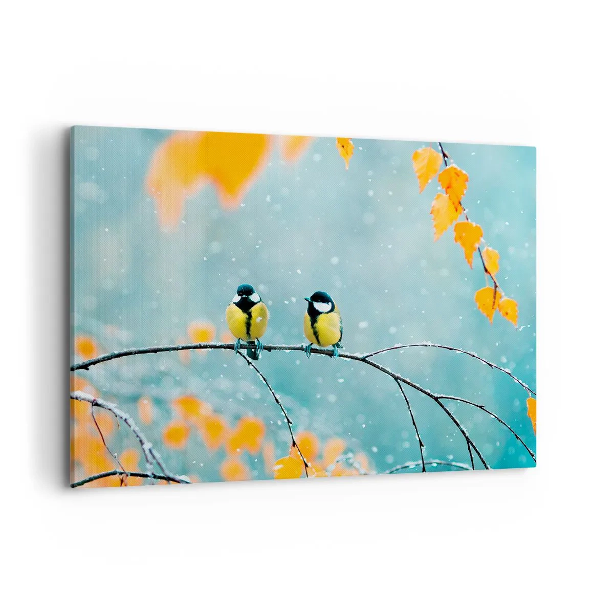 Canvas picture - Birdy Gossip - 100x70 cm