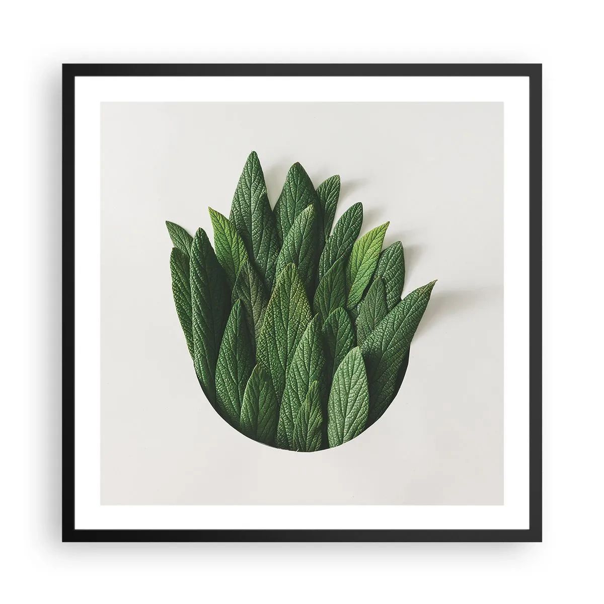 Poster in black frame - Untamed Curiosity - 60x60 cm