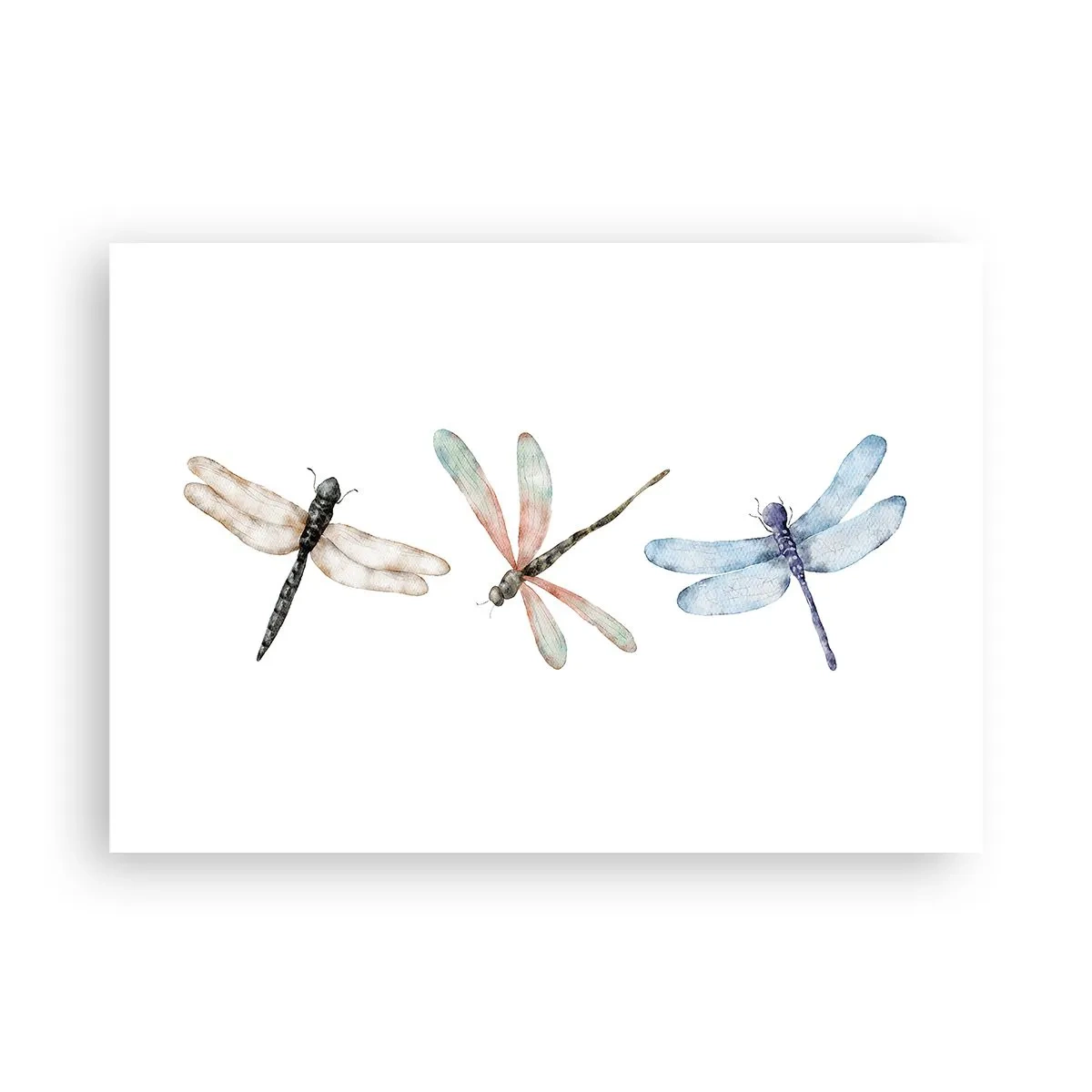 Poster - Lightness of Dragonflies  - 100x70 cm