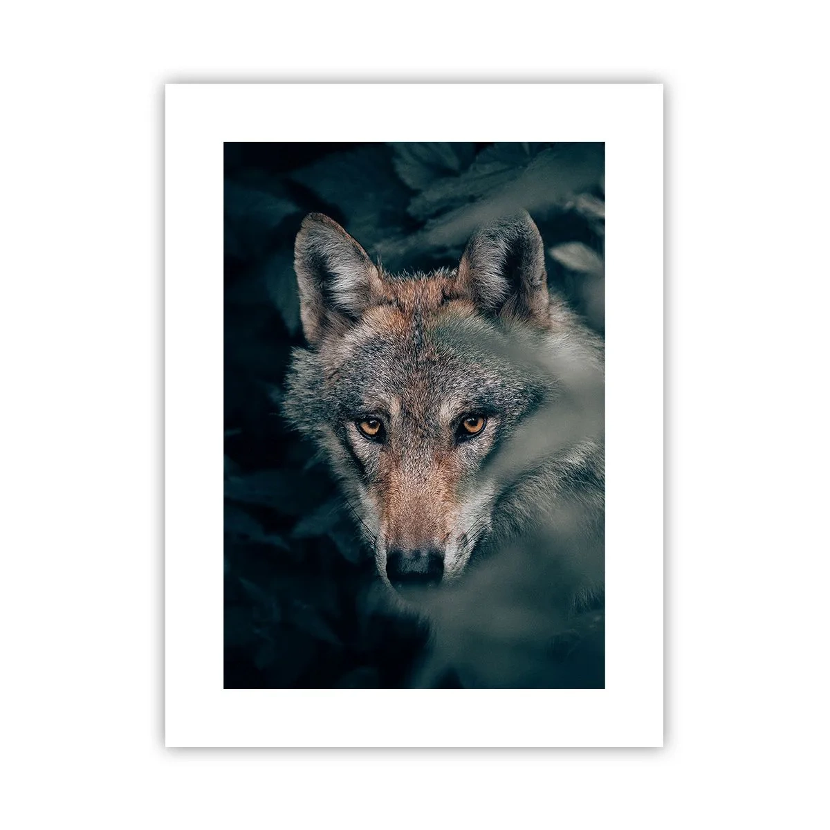 Poster - Hunter - 30x40 cm