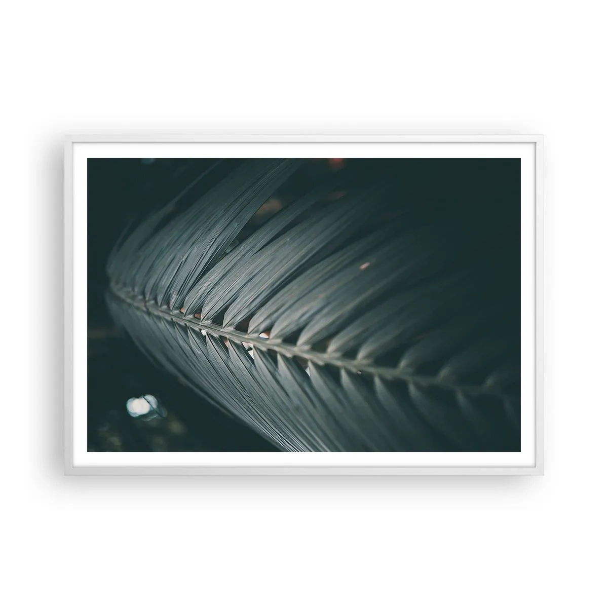 Poster in white frmae - Precision of Nature - 100x70 cm