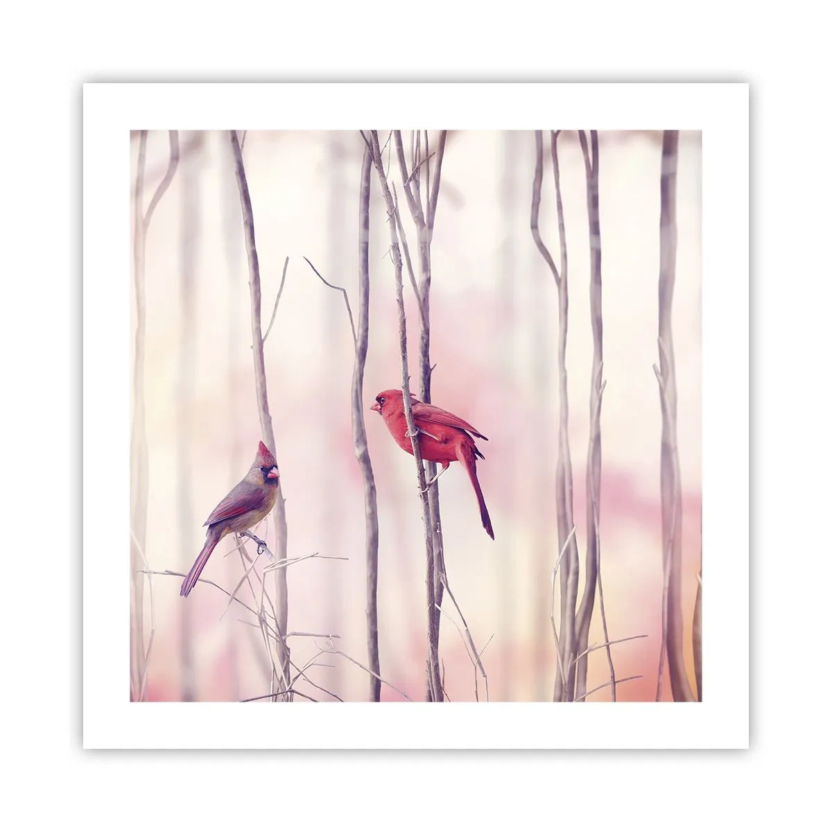 Poster - Tale of a Pink Forest - 50x50 cm