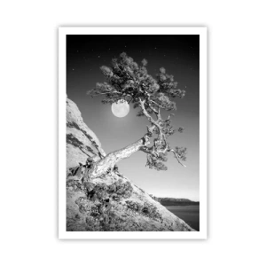 Poster - Winning Warrior - 70x100 cm