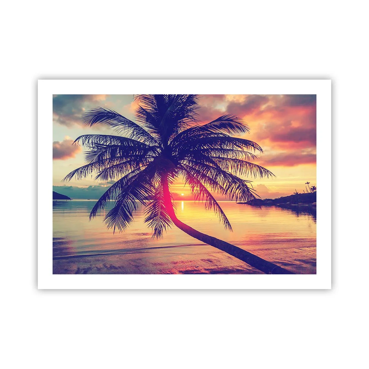 Poster - Evening under the Palm Trees - 70x50 cm
