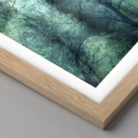 Light Oak