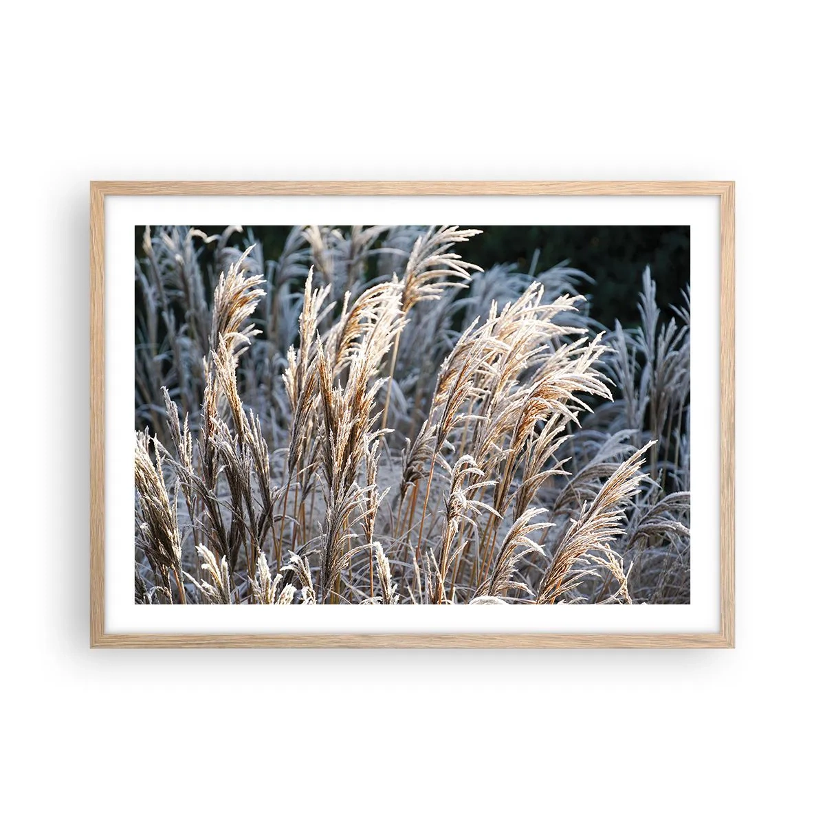 Poster in light oak frame - Decorated with Frost - 70x50 cm