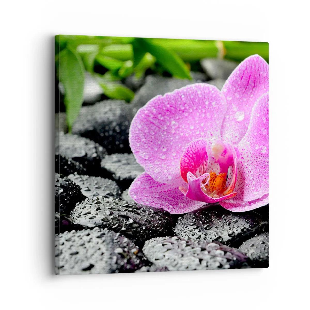 Canvas picture - Like an Open Heart - 30x30 cm