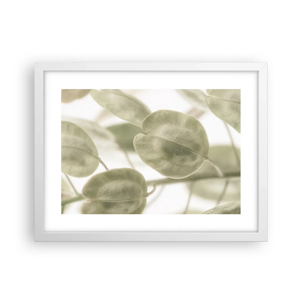 Poster in white frmae - In the Beginning There Were Leaves… - 40x30 cm