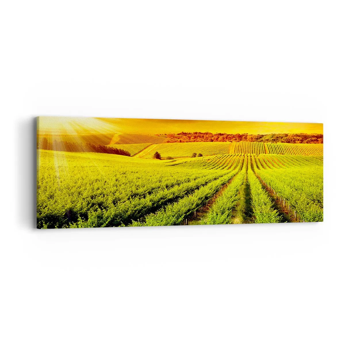 Canvas picture - Under Australian Sun - 90x30 cm
