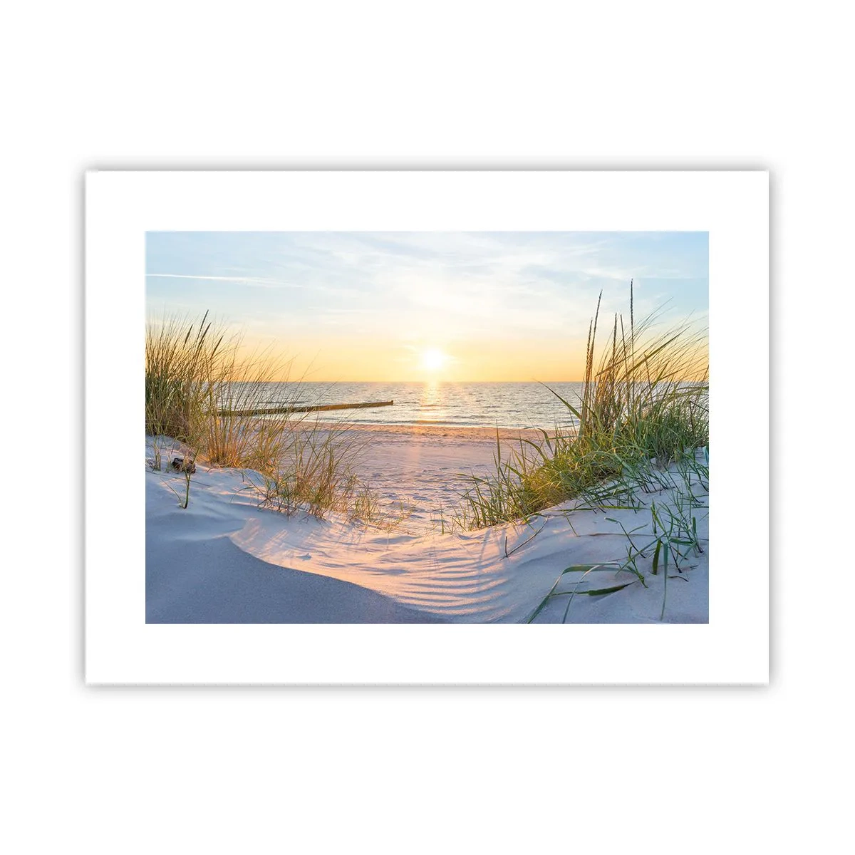 Poster - Sound of the Sea, Singing of the Birds, Wild Beach among Grass - 40x30 cm