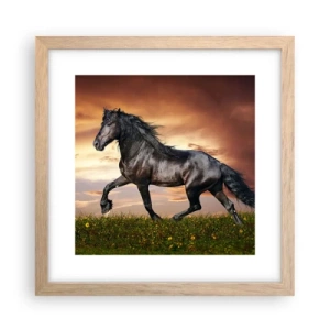 Poster in light oak frame - Black Prince - 30x30 cm