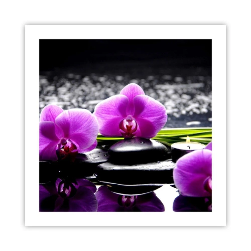 Poster - Drowning in Peace and Quiet - 50x50 cm