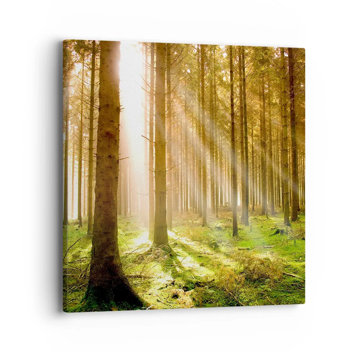 Canvas picture - Elfs Will Be Here Soon - 40x40 cm