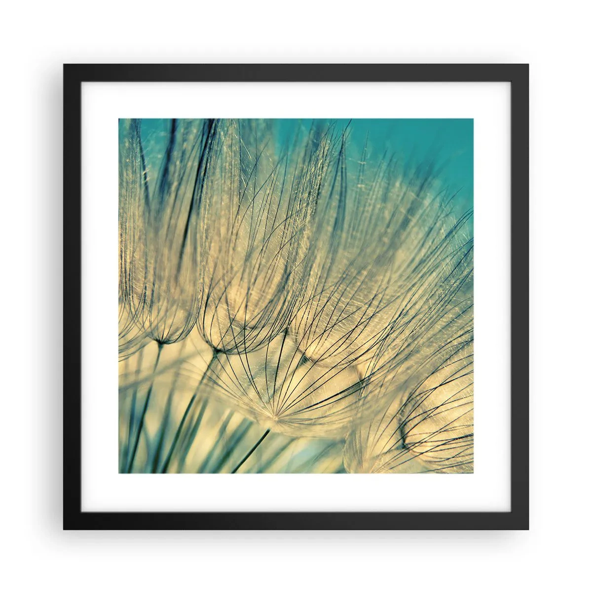 Poster in black frame - Waiting for the Wind - 40x40 cm