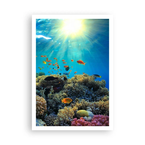 Poster - Underwater Treasures - 70x100 cm