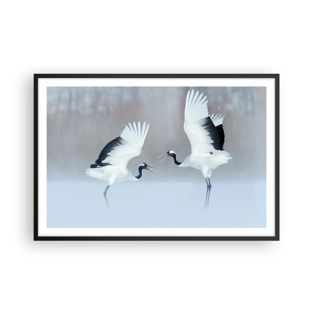 Poster in black frame - Dance in the Fog - 91x61 cm