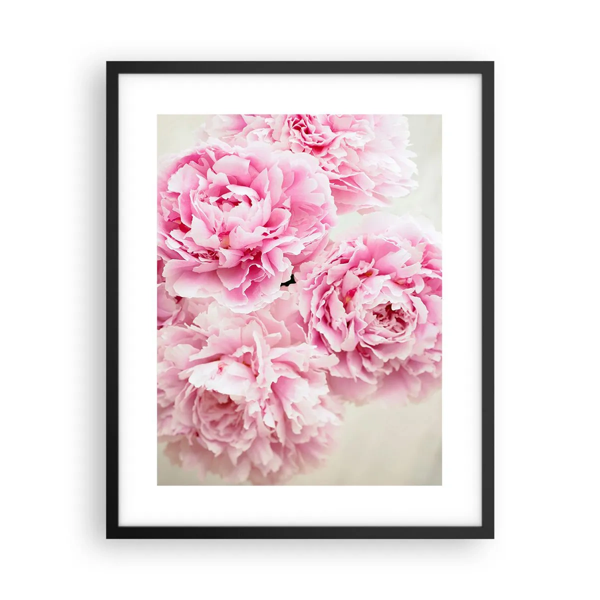 Poster in black frame - In Pink Splendour - 40x50 cm