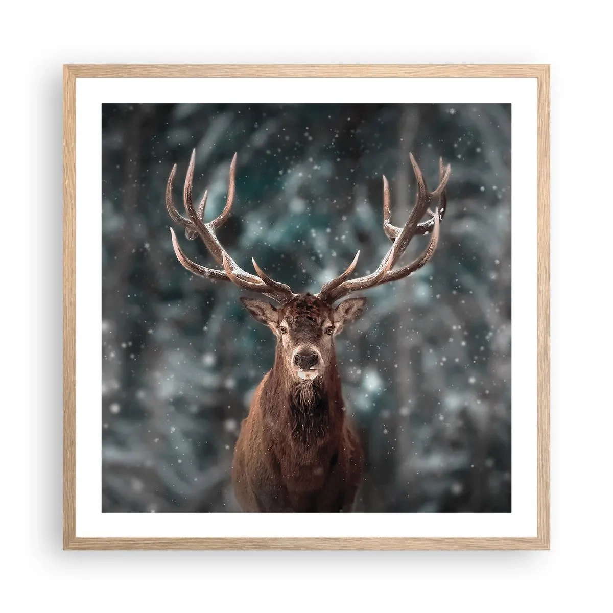 Poster in light oak frame - King of Forest Crowned - 60x60 cm