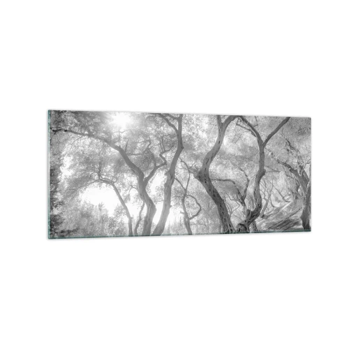 Glass picture - In an Olive Grove - 120x50 cm