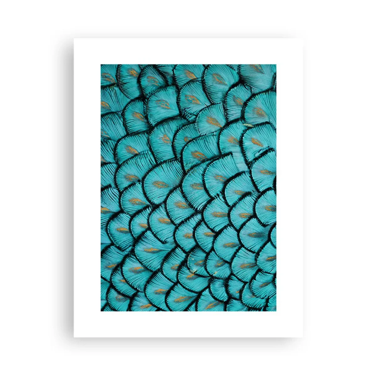 Poster - Great Feather Gala - 30x40 cm