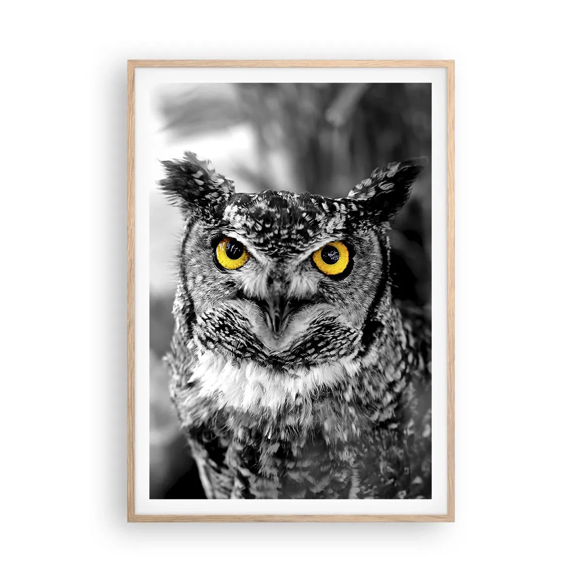 Poster in light oak frame - Nothing Can Hide - 70x100 cm