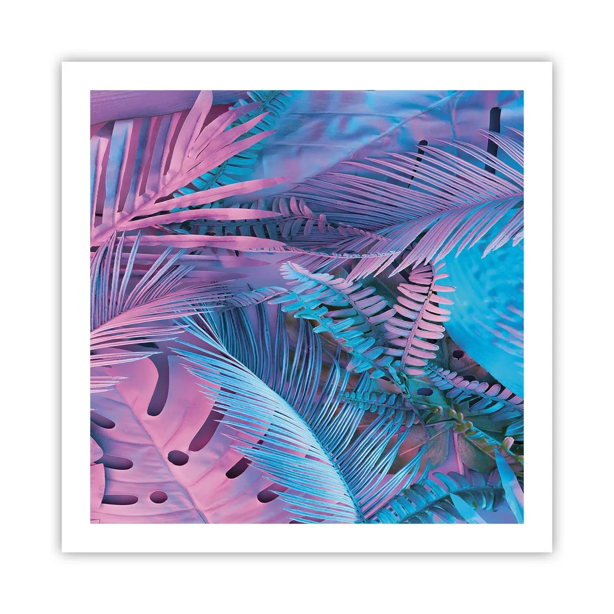 Poster - Tropics in Pink and Blue - 60x60 cm