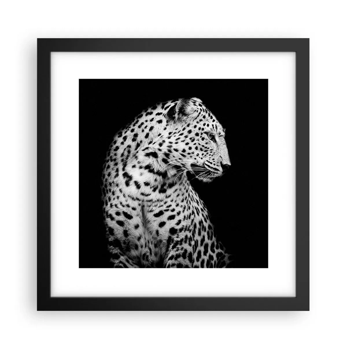 Poster in black frame - A Perfect Right Profile  - 30x30 cm