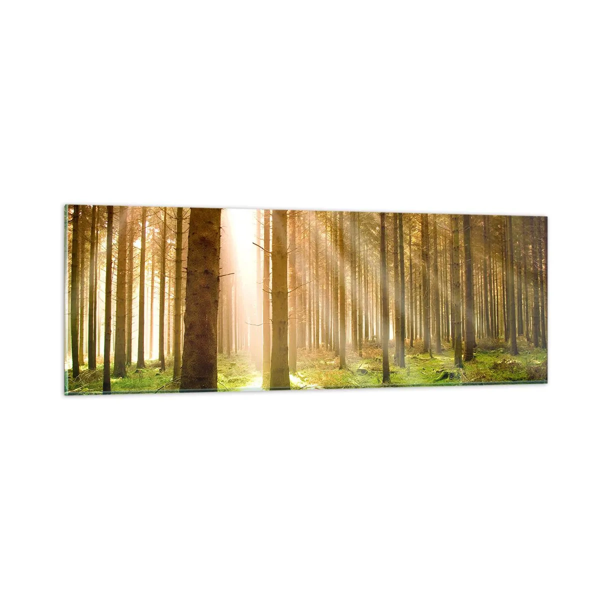 Glass picture - Elfs Will Be Here Soon - 90x30 cm