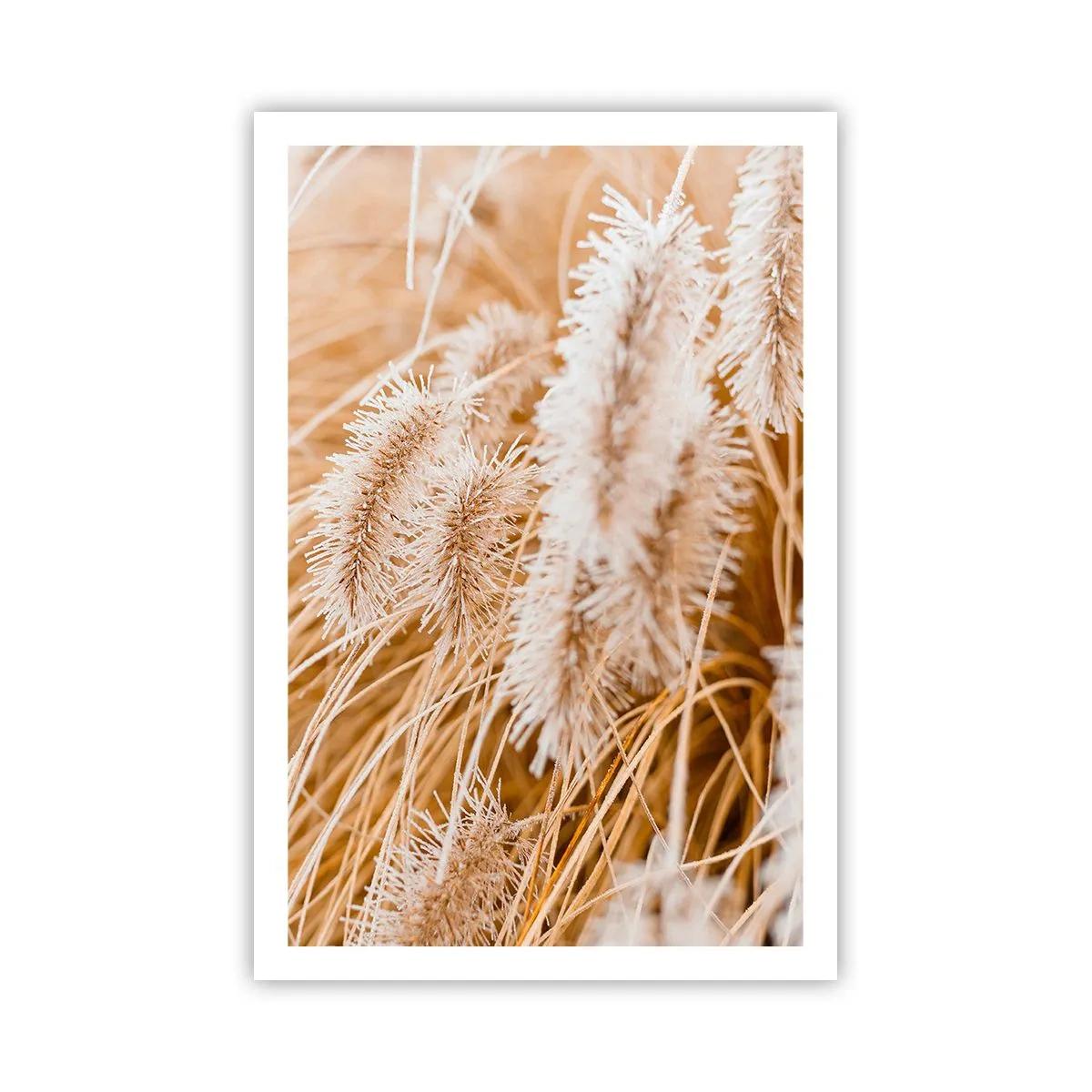 Poster - Golden Rustling of Grass - 61x91 cm