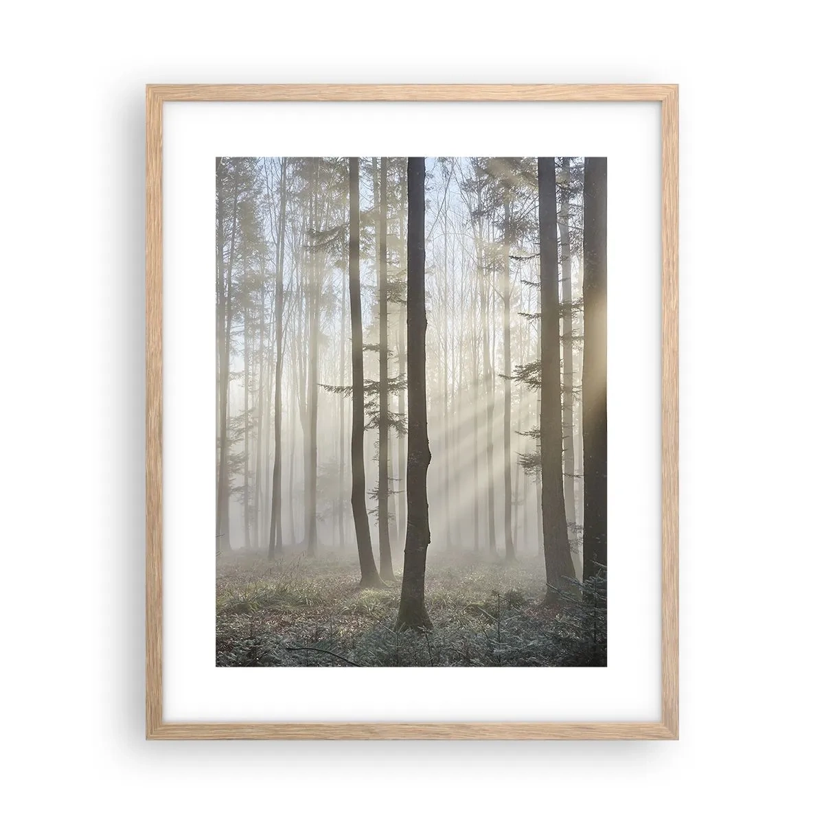 Poster in light oak frame - Fog Has Woken up Too - 40x50 cm