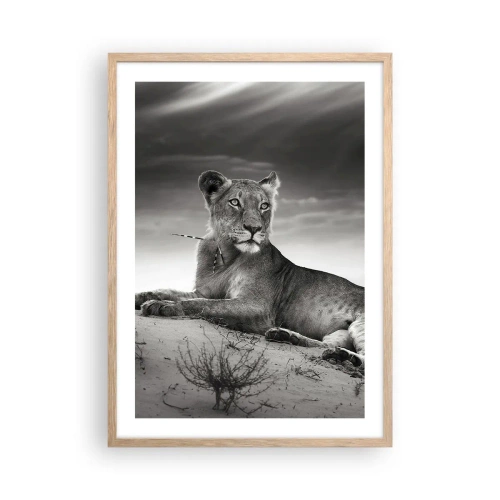 Poster in light oak frame - Queen of Desert Is Resting - 50x70 cm