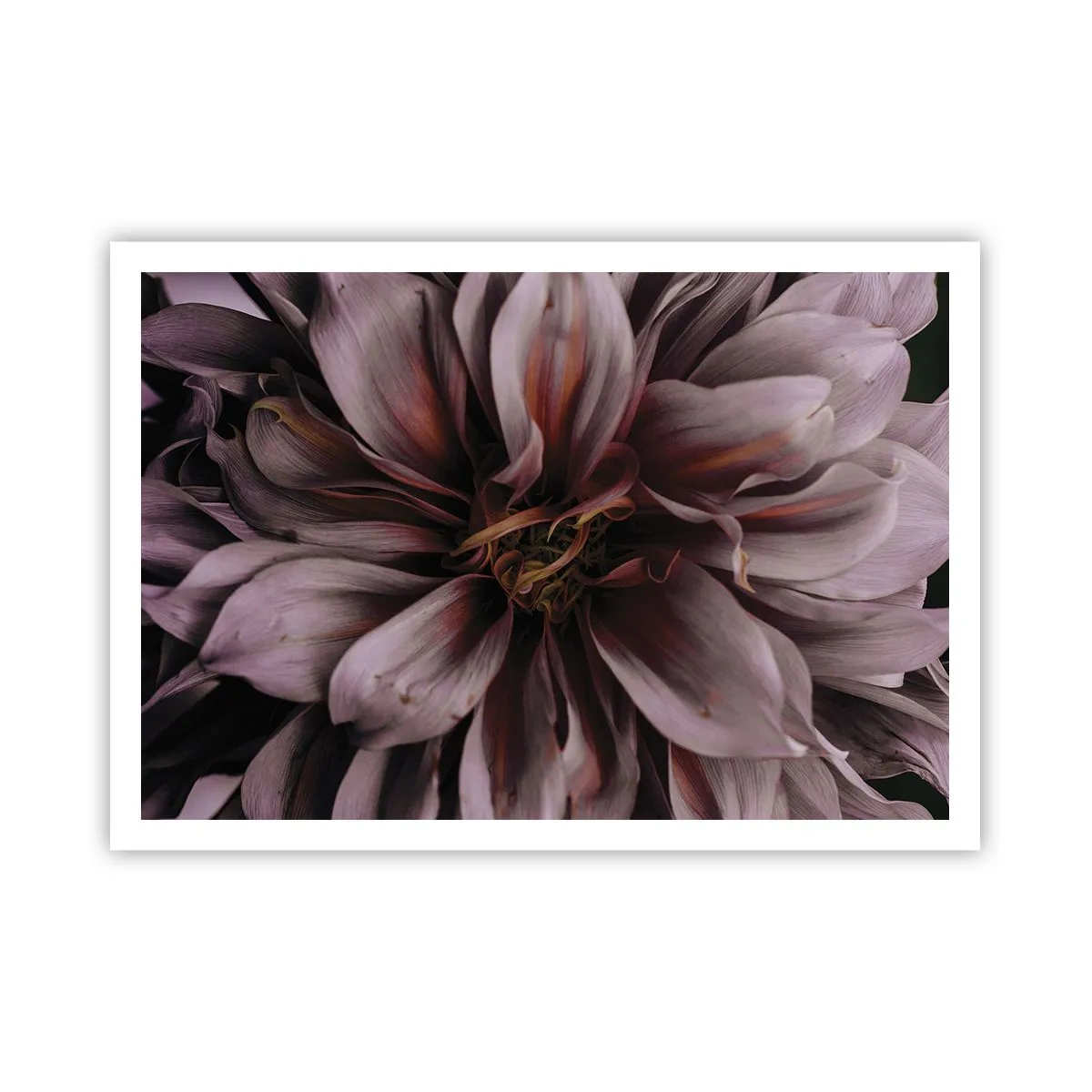 Poster - Flowery Heart - 100x70 cm