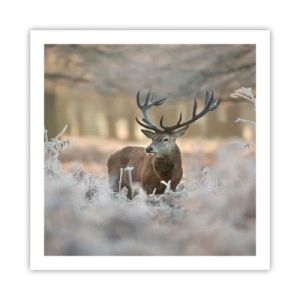 Poster - Chilly Morning - 60x60 cm